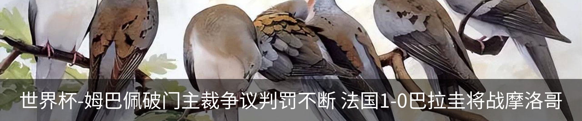 资讯动态